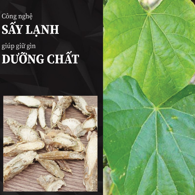 Thần thông khô được sấy lạnh trong quy trình công nghệ hiện đại 