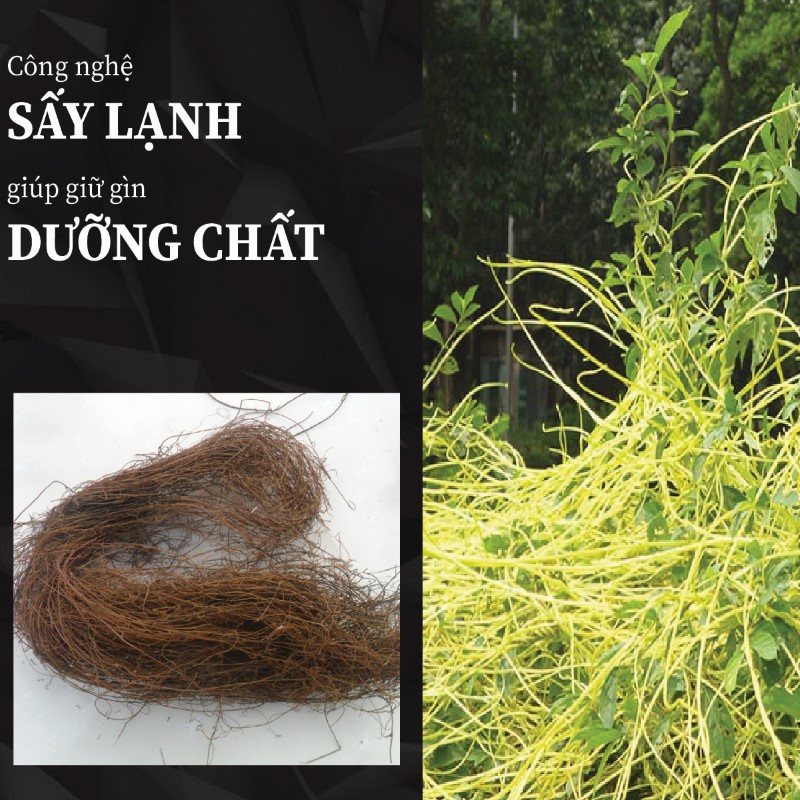 Tơ hồng khô được chế biến bằng quy trình công nghệ hiện đại