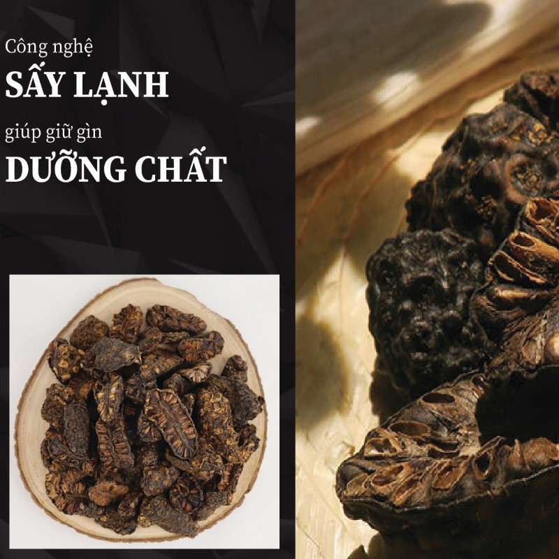 Trái nhàu khô vẫn giữ được dưỡng chất nhờ quy trình hiện đại