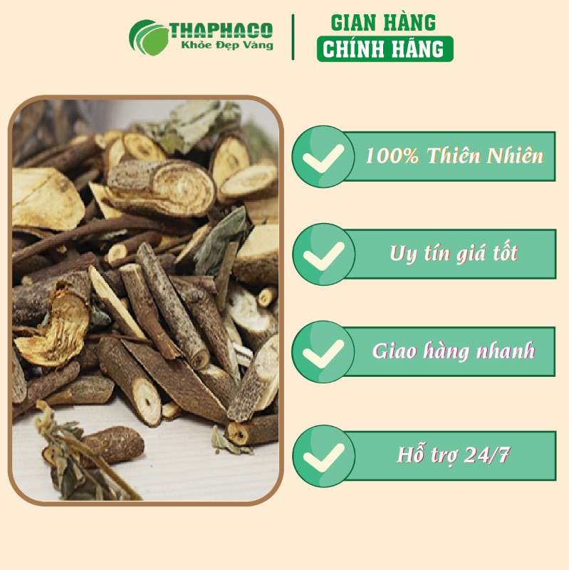 Gợi ý nơi mua 500g cây an xoa sấy khô chính hãng tại TP.HCM