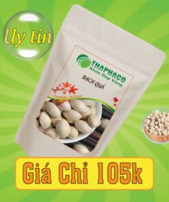 Túi 500g bạch quả sấy khô giá rẻ