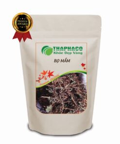 Túi 100g bọ mắm khô giá rẻ