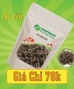 Túi 500g cà gai leo sấy khô giá rẻ tại TP.HCM