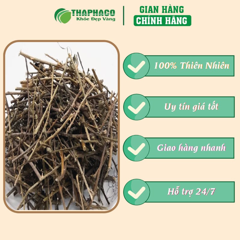Địa điểm mua cà gai leo sấy khô giá rẻ uy tín tại TP.HCM