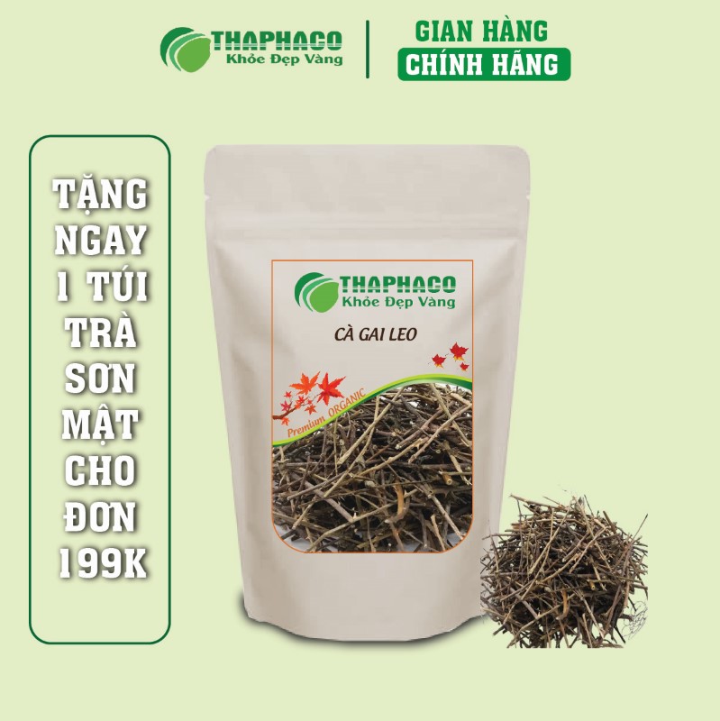 Mua 500g cà gai leo sấy khô có thể chăm sóc sức khoẻ cả gia đình
