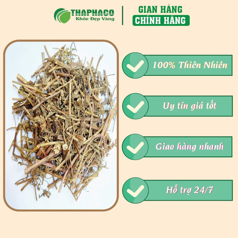 THAPHACO nơi uy tín để mua 500g cây bạc hà sấy khô giá rẻ tại TP.HCM