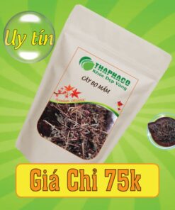 Túi 500g cây bọ mắm sấy khô giá rẻ
