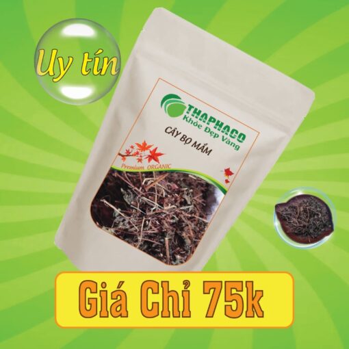 Túi 500g cây bọ mắm sấy khô giá rẻ