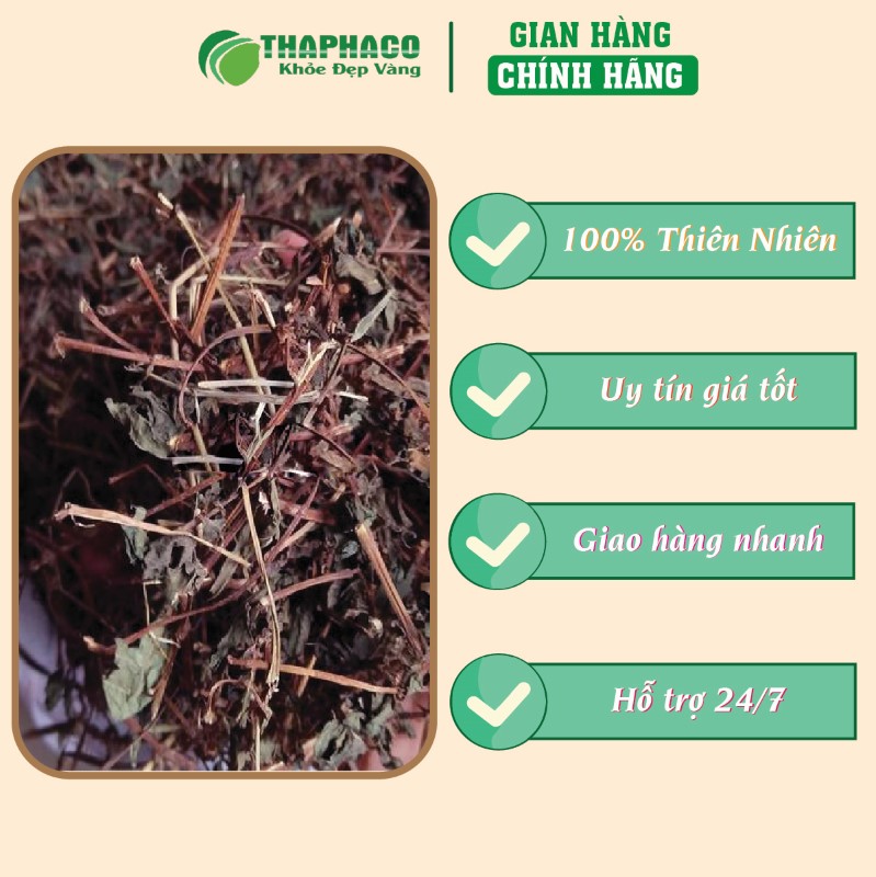 Gợi ý nơi uy tín để mua 500g cây bọ mắm sấy khô giá rẻ tại TP.HCM