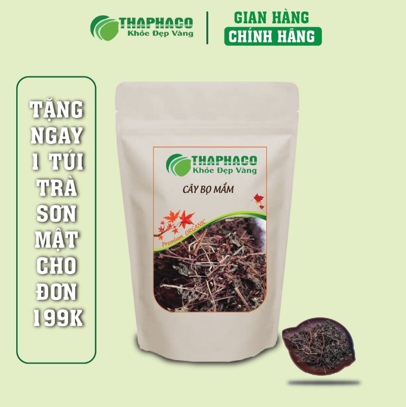 Đánh giá thực tế của khách hàng khi mua 500g cây bọ mắm sấy khô