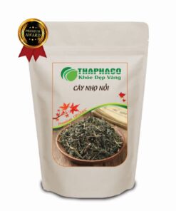 Túi 100g cây nhọ nồi khô giá rẻ