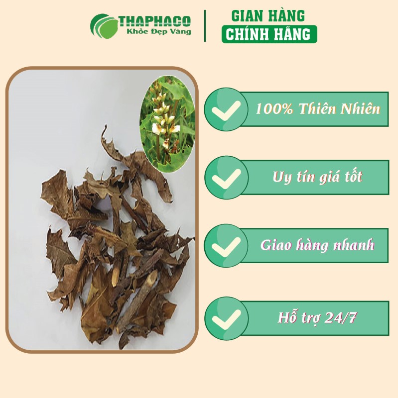 Địa chỉ bán túi 500g cây ô rô mát gan sấy khô giá rẻ tại TP.HCM