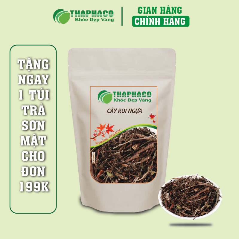 Địa chỉ bán cây roi ngựa sấy khô giá rẻ tại TP.HCM