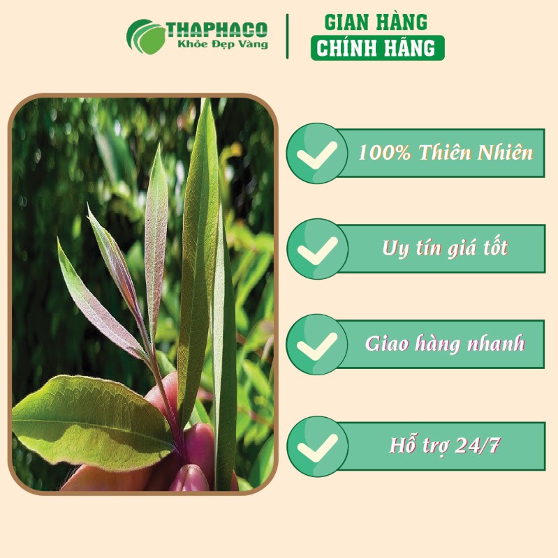 Đánh giá thực tế của khách hàng khi mua 500g cây thành ngạnh sấy khô