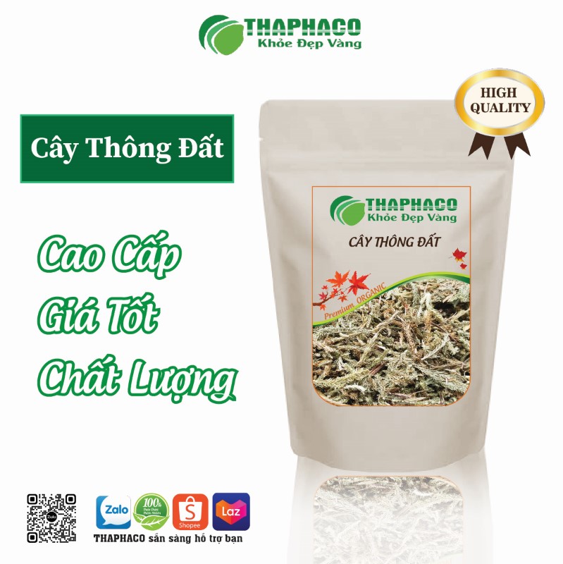 Mua 1kg cây thông đất khô cao cấp, giá tốt, chất lượng của THAPHACO