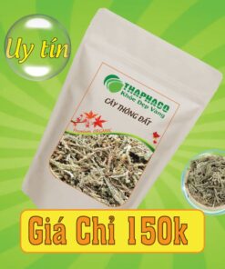 Túi 500g cây thông đất sấy khô giá rẻ