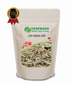 Túi 100g cây thông đất khô giá rẻ