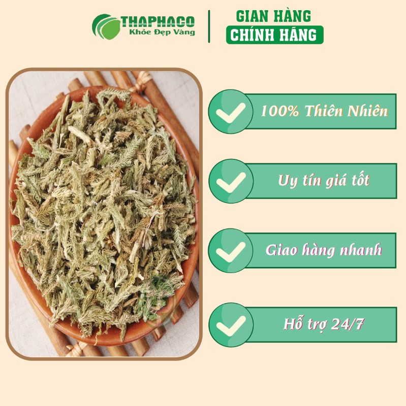 Mua cây thông đất sấy khô 500g về dùng để có cảm nhận chân thật nhất