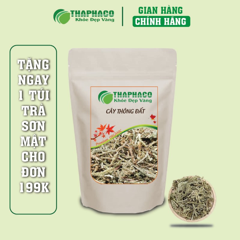 Địa chỉ bán 500g cây thông đất sấy khô giá rẻ tại TP.HCM