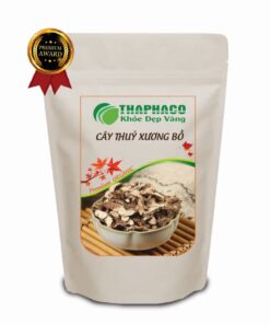 Túi 100g cây thuỷ xương bồ khô giá rẻ
