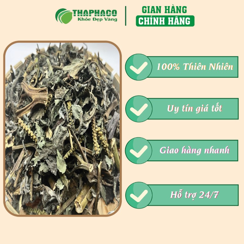 Nơi mua cây vòi voi sấy khô 500 chính hãng tại TP.HCM