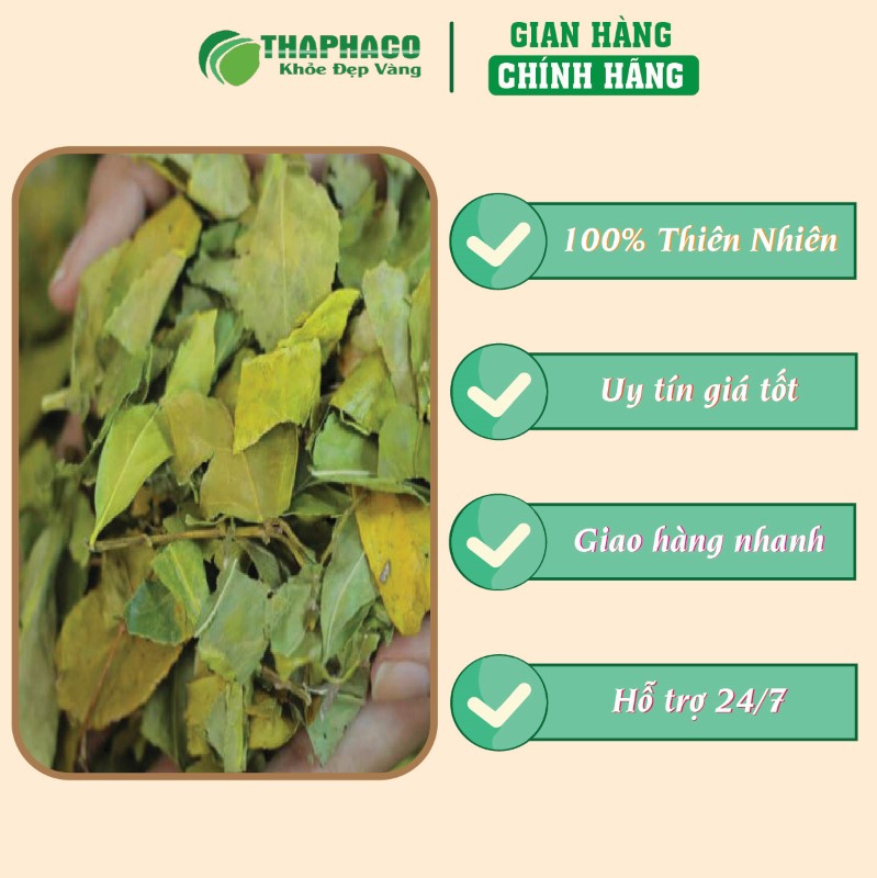 Liên hệ THAPHACO để mua 500g chè dung vàng sấy khô giá rẻ tại TP.HCM
