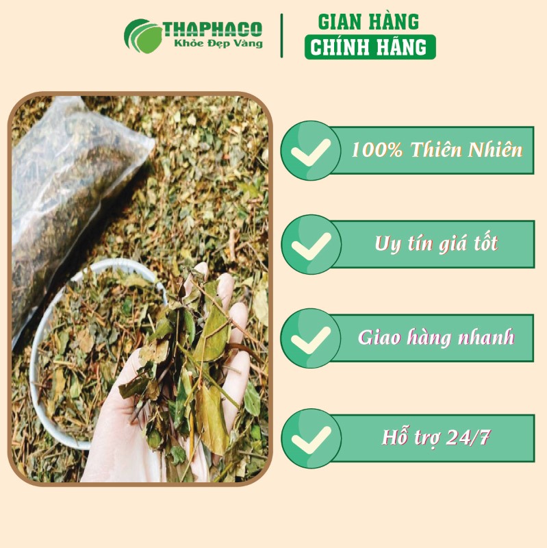 Gợi ý nơi mua 500g chè vằng sấy khô chính hãng tại TP.HCM