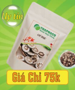 Túi 500g chỉ thực sấy khô giá rẻ
