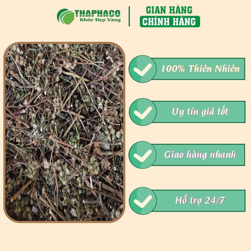Địa chỉ bán 500g cứt lợn sấy khô giá rẻ tại TP.HCM