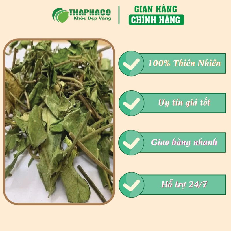 THAPHACO địa chỉ bán túi 500g dây thìa canh giá rẻ tại TP.HCM