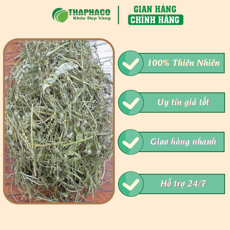 Nơi mua diệp hạ châu đắng sấy khô 500g giá rẻ tại TP.HCM
