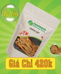 Túi 500g đương quy sấy khô giá rẻ