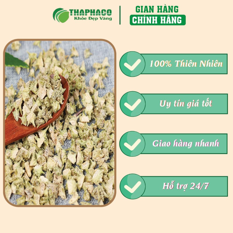 Địa chỉ uy tín để mua 500g gai ma vương sấy khô giá rẻ tại TP.HCM