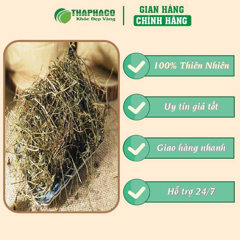 Địa chỉ uy tín để mua 500g giảo cổ lam sấy khô chính hãng tại TP.HCM