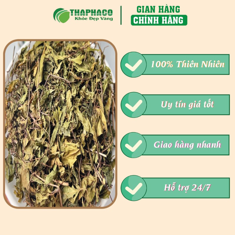 Địa chỉ uy tín để mua lá đinh lăng sấy khô 500g giá rẻ tại TP.HCM