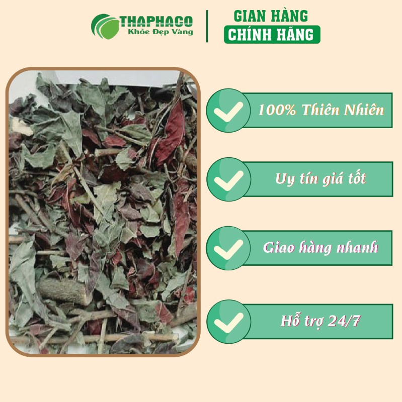 THAPHACO nơi bán túi 500g đơn lá đỏ sấy khô chính hãng tại TP.HCM