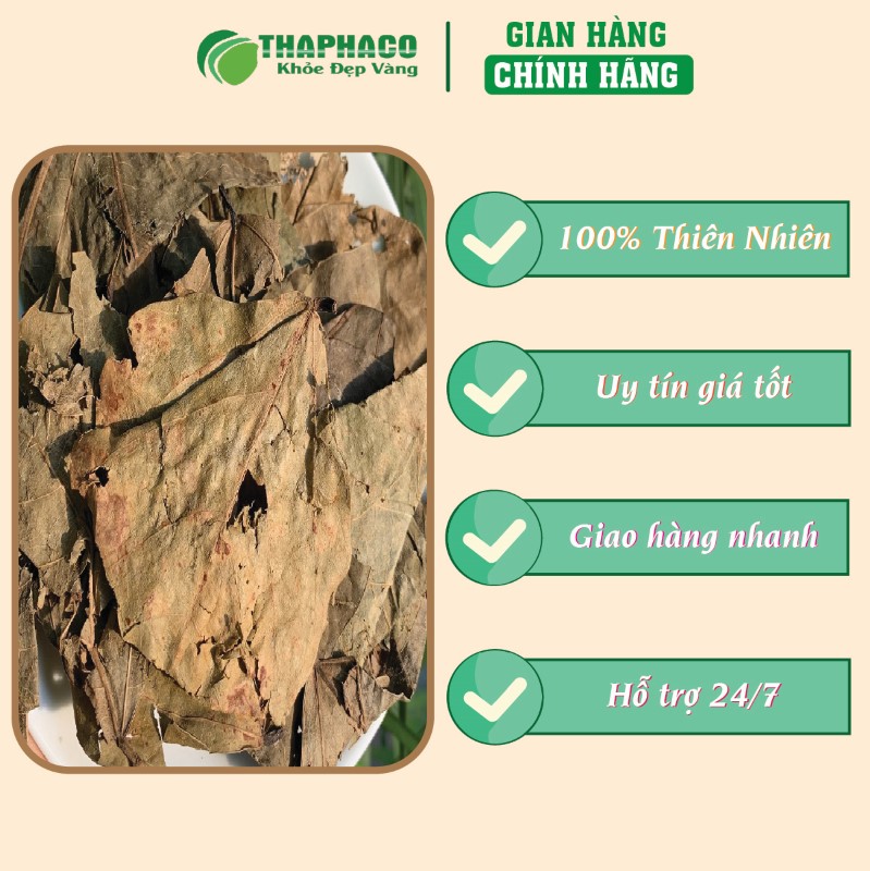 Gợi ý nơi uy tín để mua lá muồng trâu sấy khô 500g giá rẻ tại TP.HCM