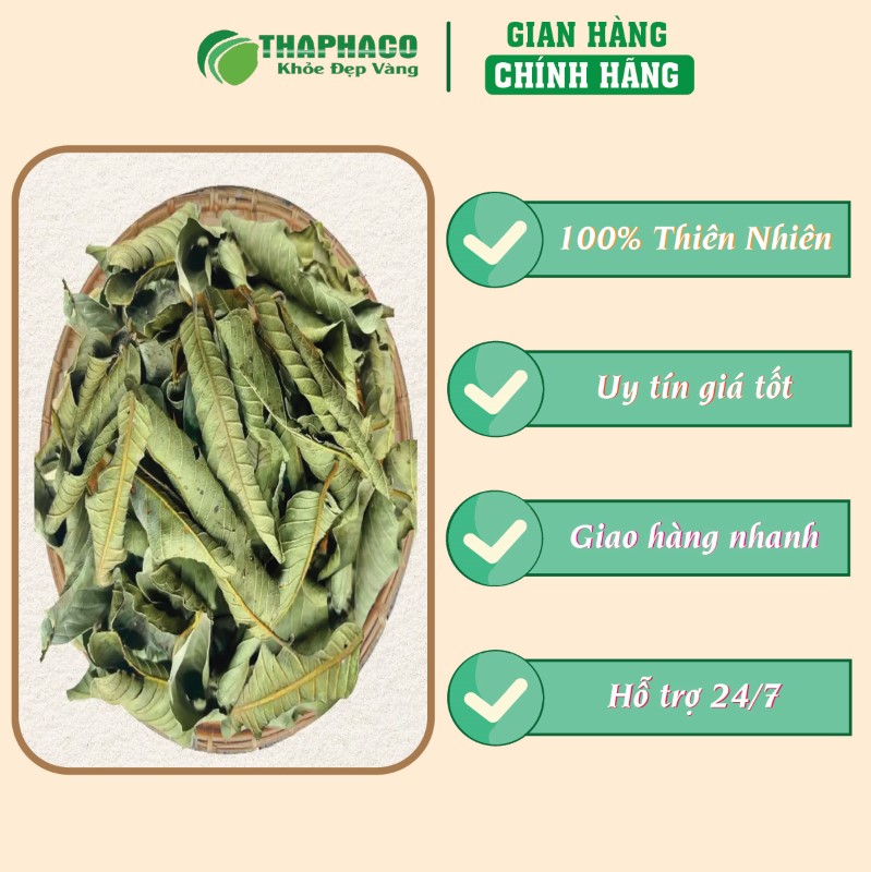 Liên hệ THAPHACO để mua 500g lá ổi sấy khô giá rẻ tại TP.HCM