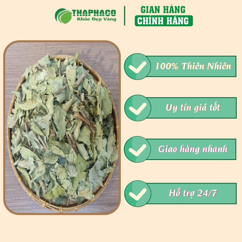 Địa chỉ uy tín để mua lá vối sấy khô 500g giá rẻ tại TP.HCM