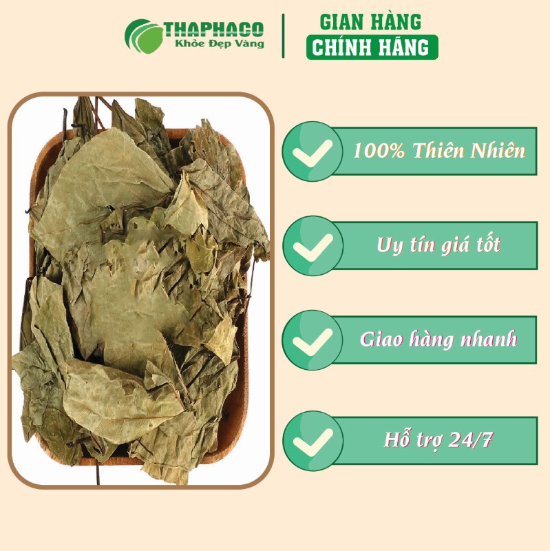 Địa chỉ bán túi 500g lá vông nem sấy khô giá rẻ tại TP.HCM