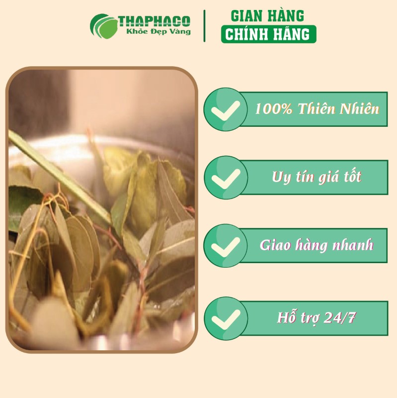 Liên hệ THAPHACO để mua lá xông bà đẻ 500g giá tốt tại TP.HCM