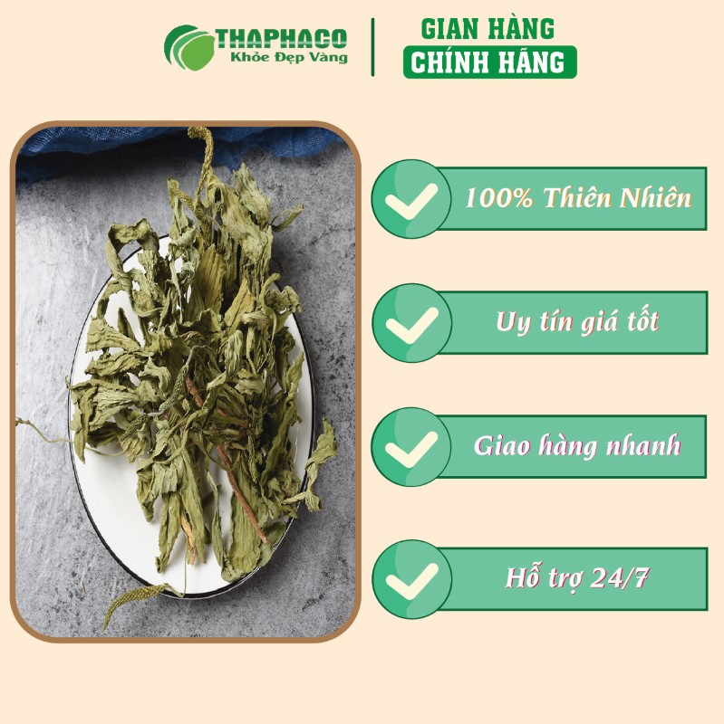 Gợi ý chỗ mua 500g mã đề sấy khô giá rẻ chính hãng tại TP.HCM