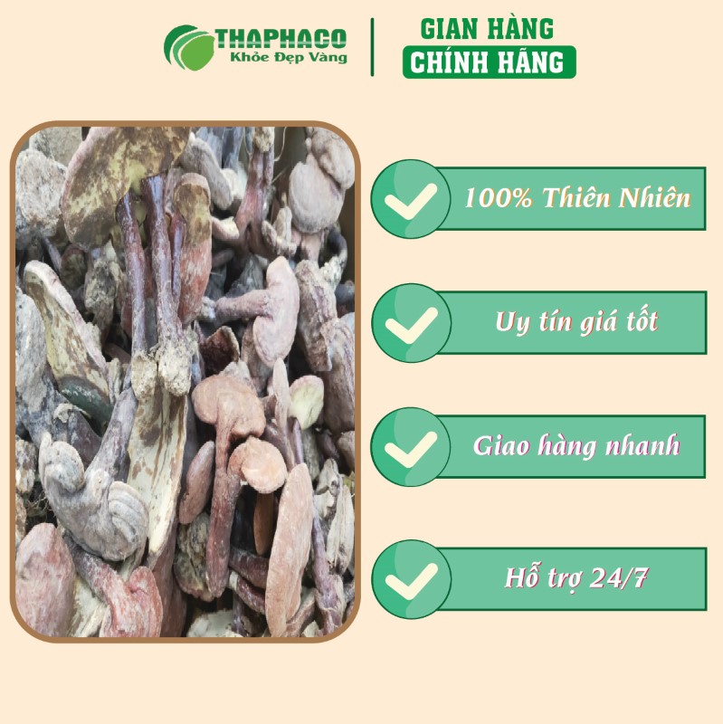 Gợi ý nơi mua nấm lim xanh rừng sấy khô 500g giá tốt tại TP.HCM