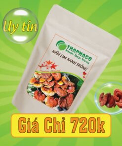 Túi 500g nấm lim xanh trồng sấy khô giá rẻ