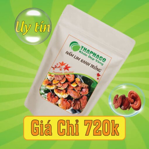 Túi 500g nấm lim xanh trồng sấy khô giá rẻ