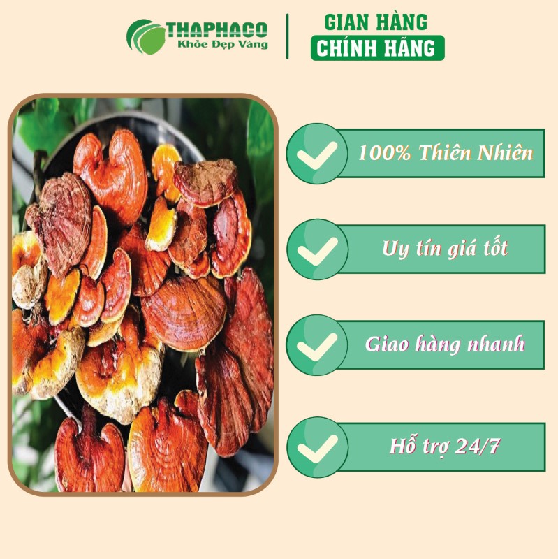 Địa chỉ bán túi 500g nấm lim xanh trồng sấy khô giá tốt tại TP.HCM