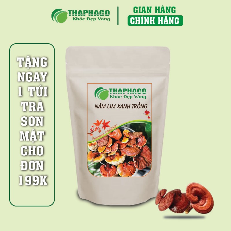 Mua 500g nấm lim xanh trồng dùng được cho cả gia đình