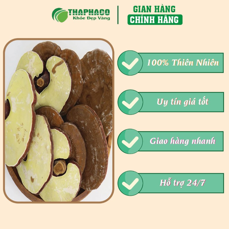 Địa chỉ bán túi nấm linh chi Hàn Quốc 500g giá rẻ tại TP.HCM