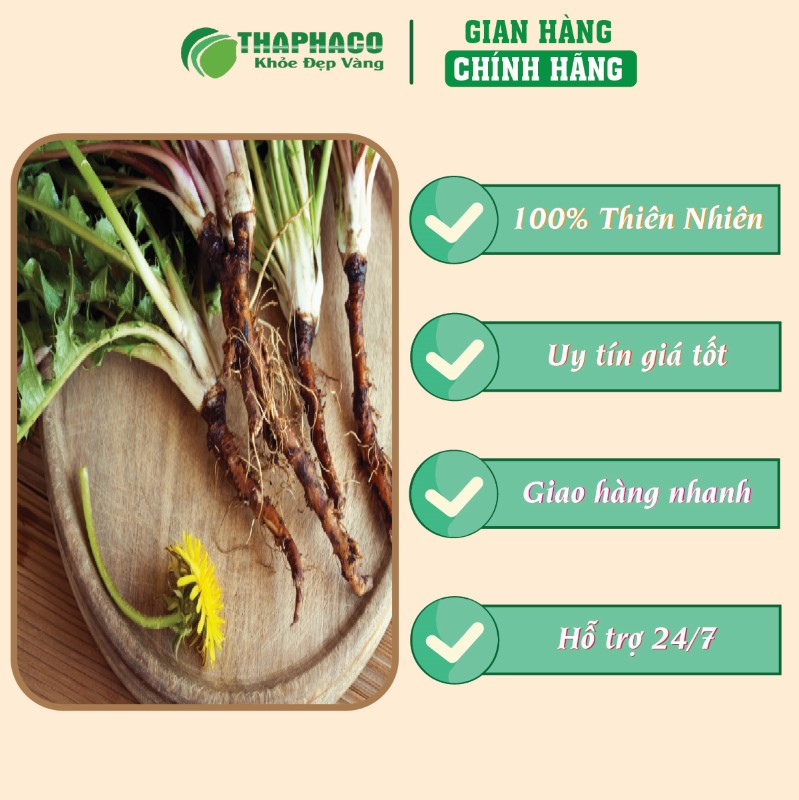Nơi mua 500g rễ bồ công anh sấy khô giá rẻ tại TP.HCM