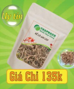 Túi 500g rễ cà gai leo sấy khô giá rẻ